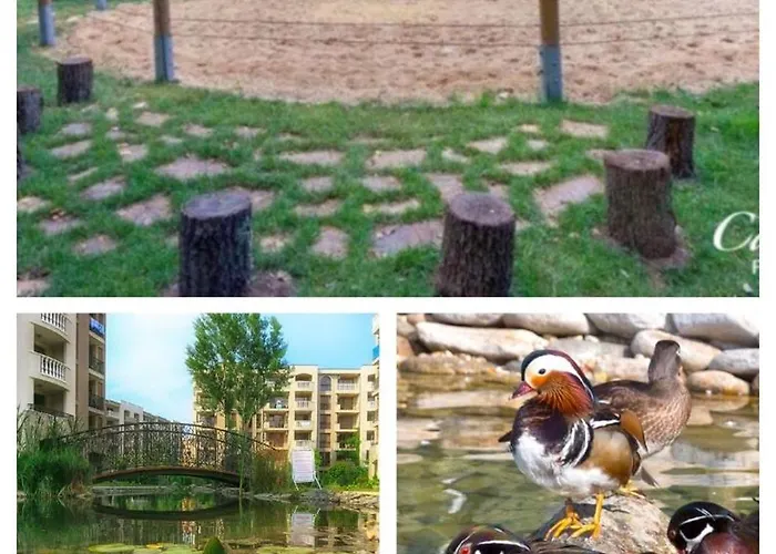 Coliber Cascadas Slantschew brjag