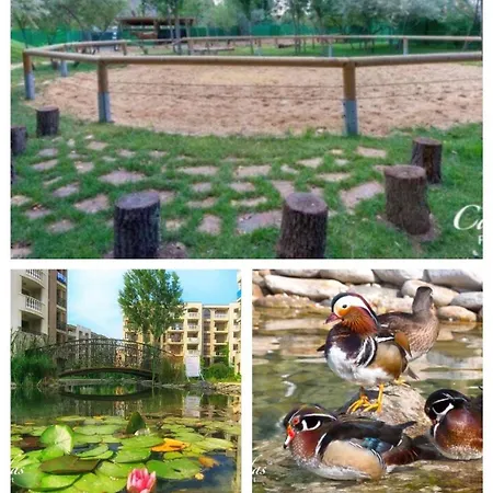 Coliber Cascadas סאני ביץ'